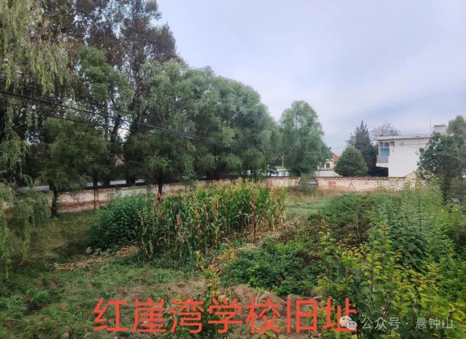 1791449651748579.jpg 360截图20261008161041536.jpg