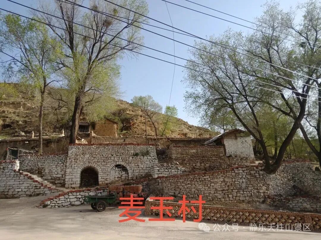1791533349666092.jpg 微信图片_2026-10-09_160355_561.jpg